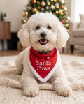 Ben sdraiato sul plaid con la bandana Santa Paws, albero di Natale sullo sfondo