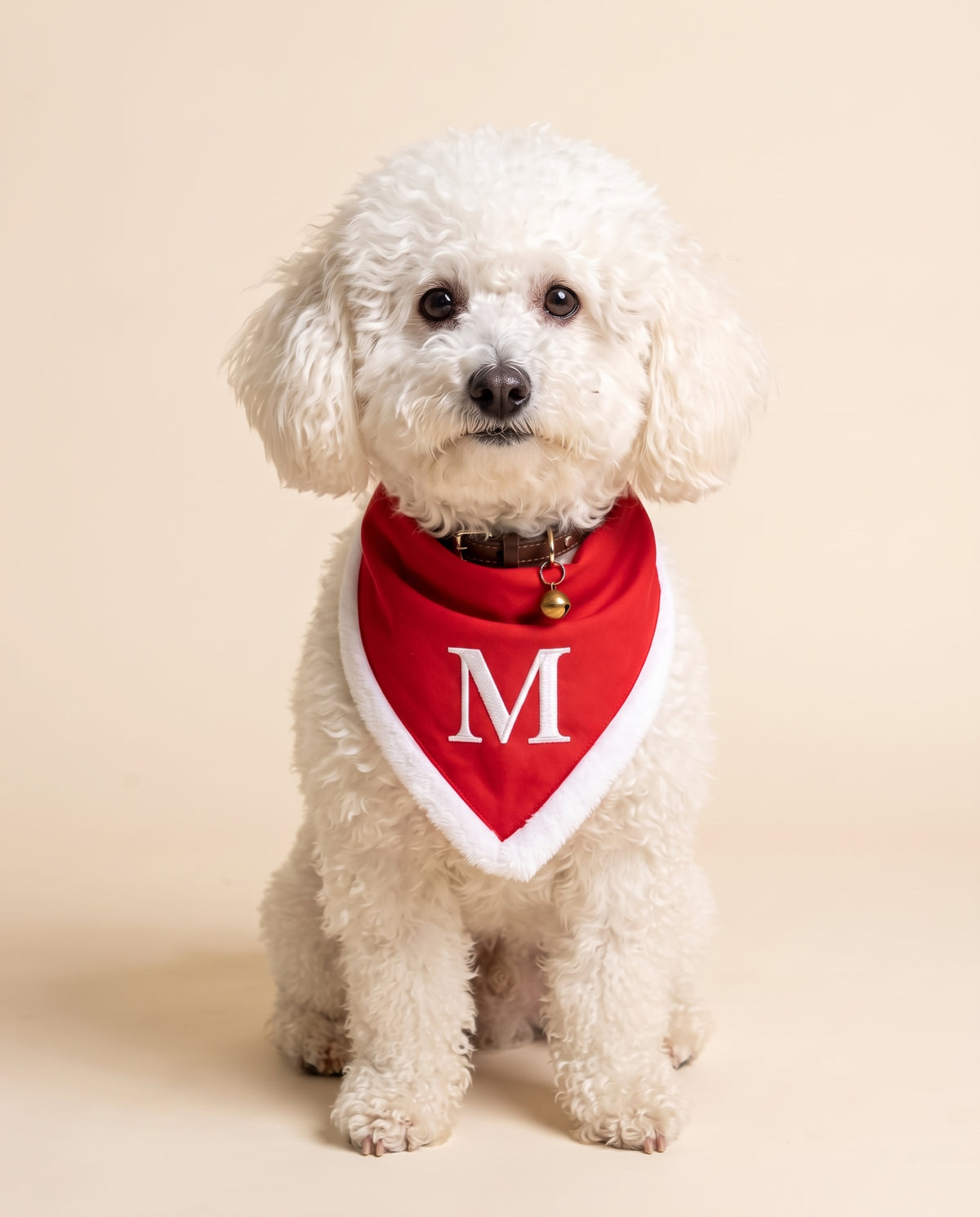Bandana di Natale per cane con l'iniziale M ricamata in filo bianco