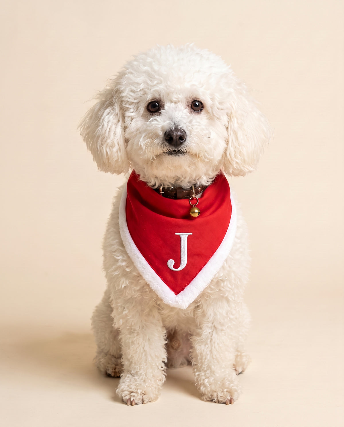 Ben con la bandana di Natale rossa e l'iniziale J ricamata in bianco