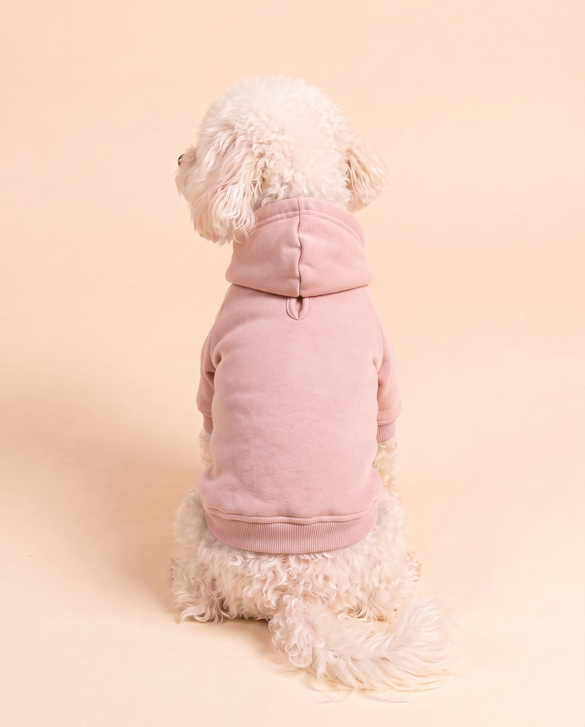 Felpa con cappuccio per cane personalizzata, colore rosa, vista da dietro