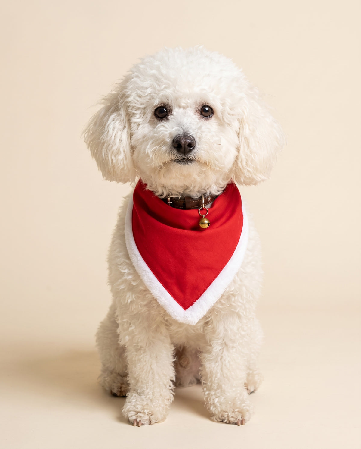Ben con la bandana di Natale rossa da personalizzare con nome o iniziali