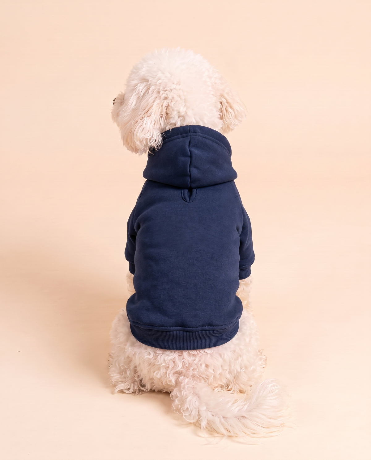 Felpa con cappuccio per cane personalizzata, colore blu navy, vista da dietro