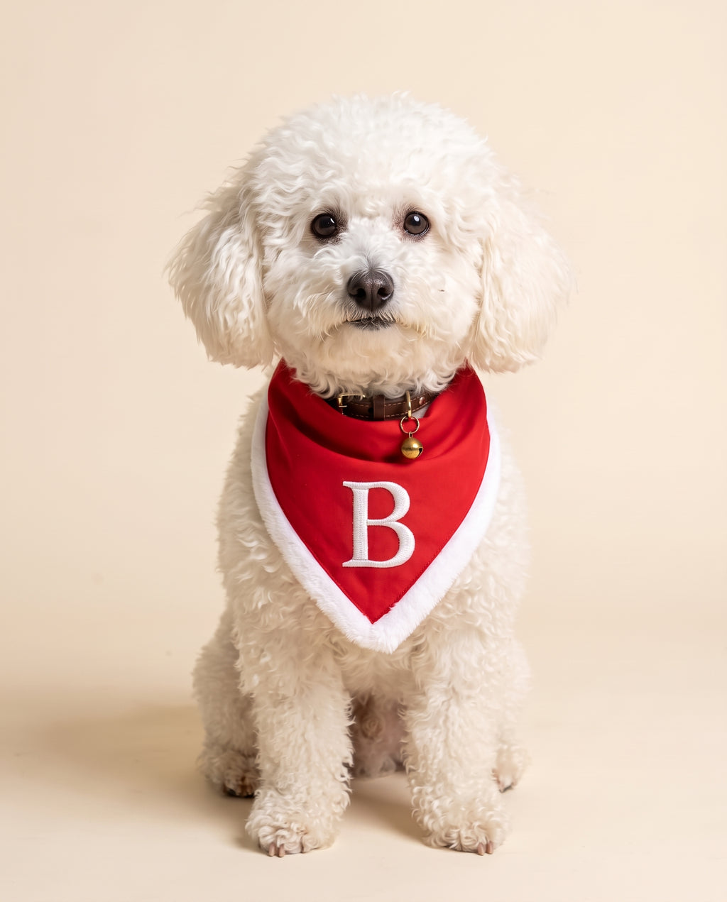 Ben con la bandana di Natale rossa e l'iniziale B ricamata in bianco