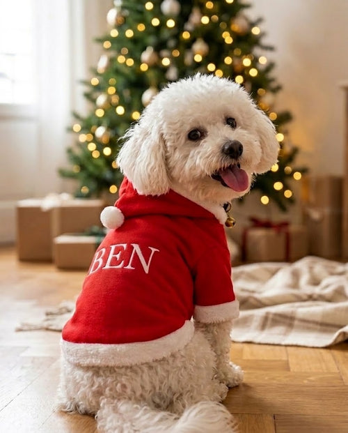 Ben davanti all'albero di Natale con la felpa Babbo Natale e il nome BEN ricamato sulla schiena