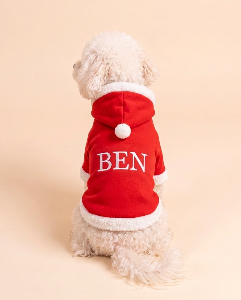 Ben con la felpa Babbo Natale rossa e il nome BEN ricamato in bianco sulla schiena