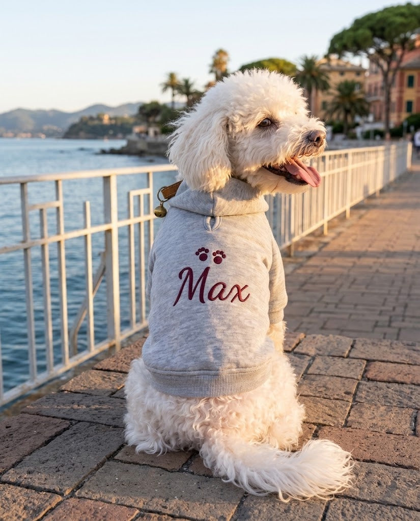 Barboncino bianco con felpa per cane grigia con nome Max e zampine ricamate in borgogna, seduto sul lungomare al tramonto