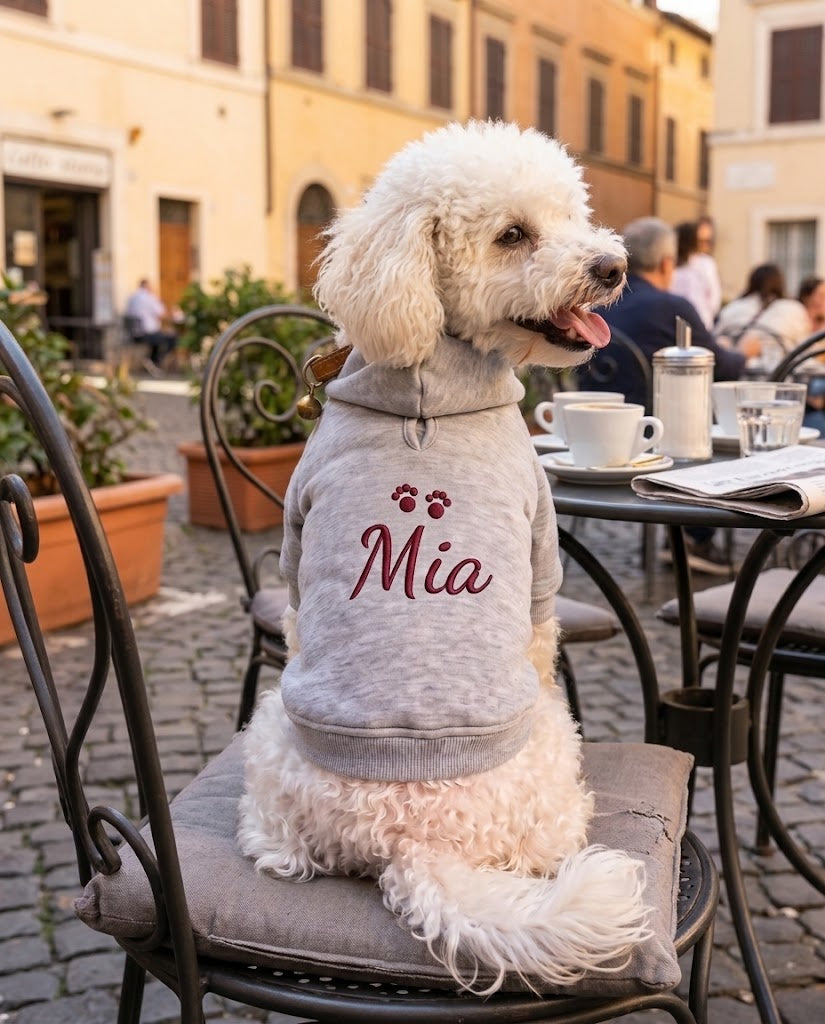 Barboncino bianco con felpa per cane grigia con nome Mia e zampine ricamate in borgogna, seduto al tavolino di un bar in piazza