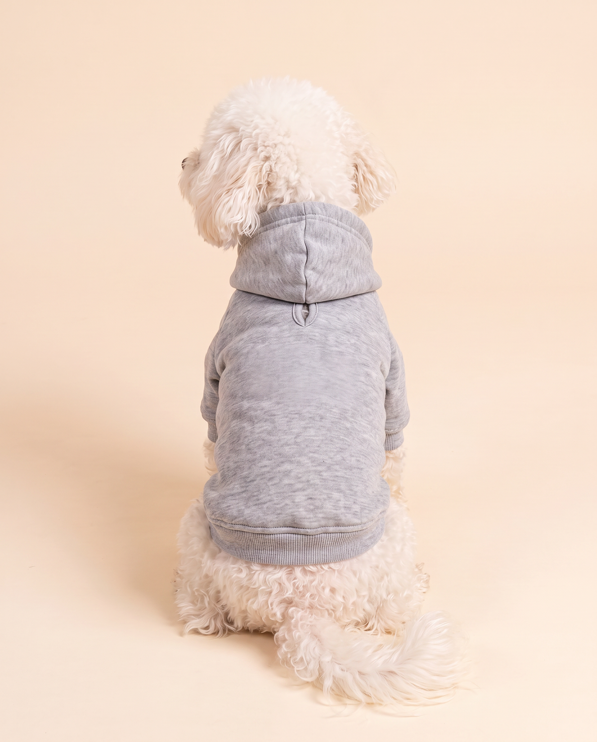 Felpa con cappuccio per cane personalizzata, colore grigio, vista da dietro