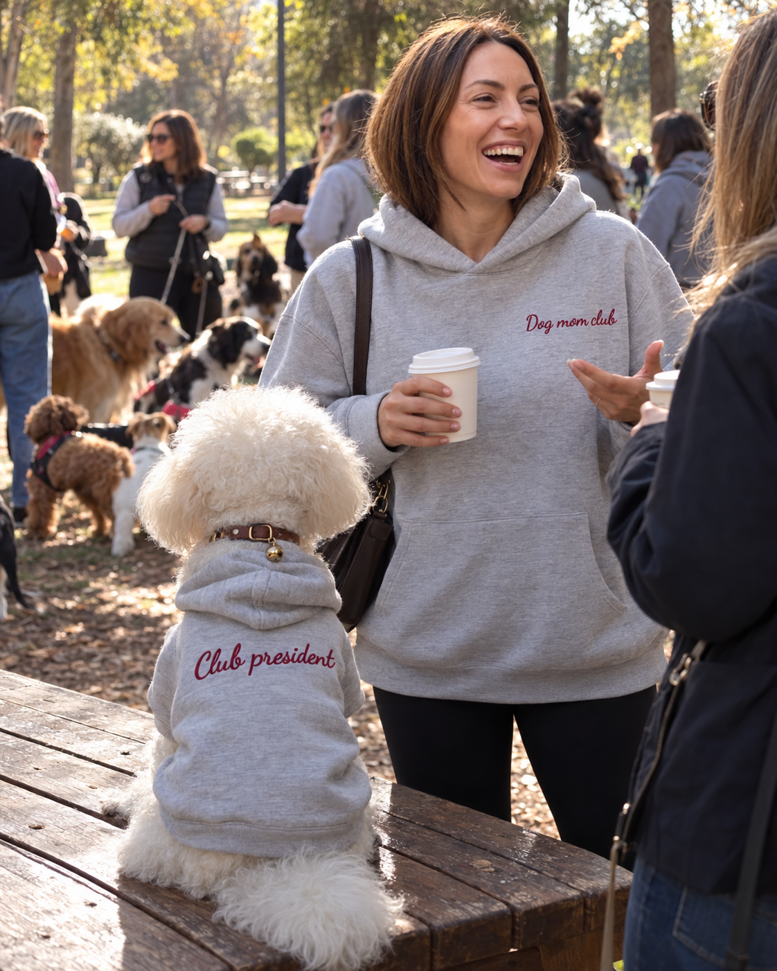 Set felpe abbinate Dog mom club + Club president grigio melange: donna con felpa Dog mom club ricamata e cane con felpa Club president